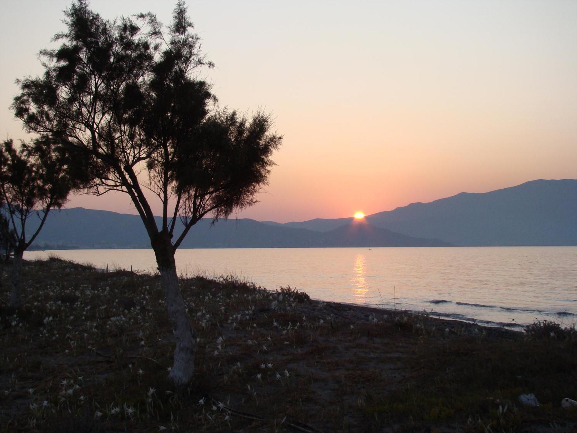 Drapania Beach Marinakis 基萨莫斯 外观 照片