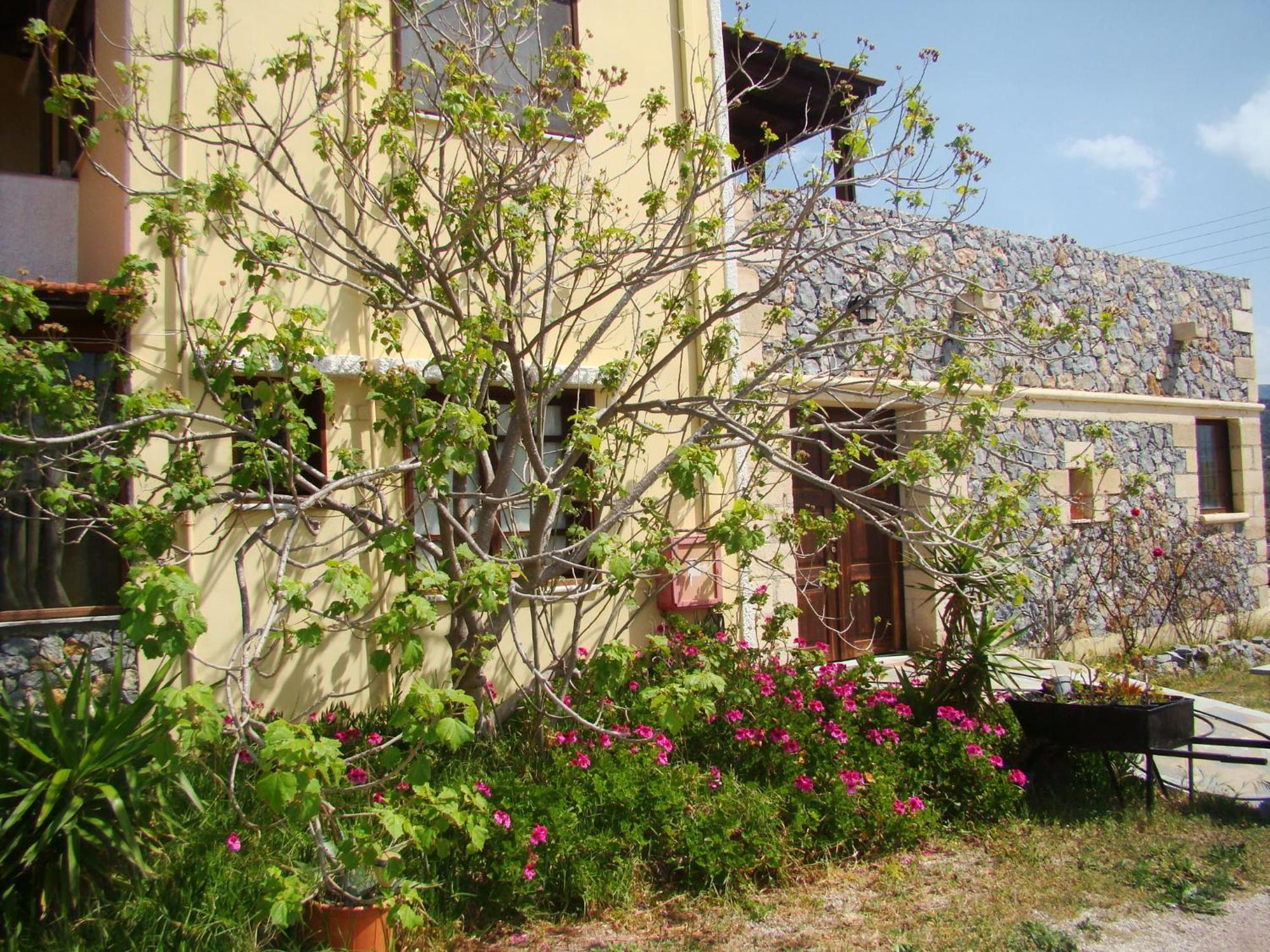 Drapania Beach Marinakis 基萨莫斯 外观 照片